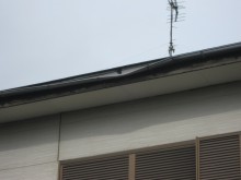 つくば7