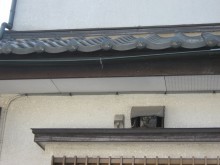 龍3