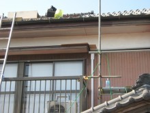 実穂3