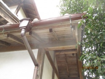 雨樋被害