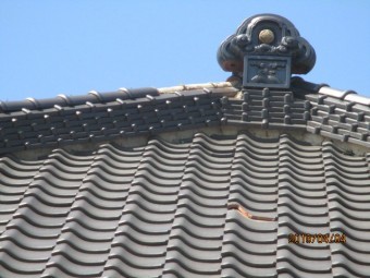 棟瓦・桟瓦・饅頭瓦被害