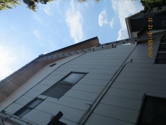 雀駆除
