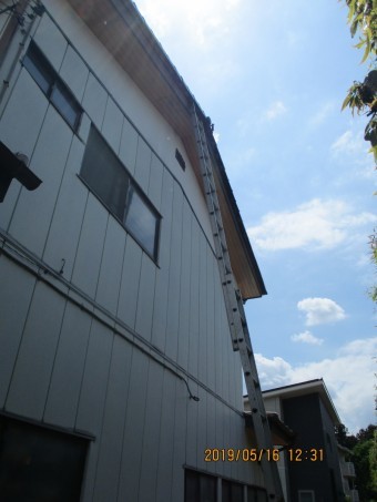 雀駆除