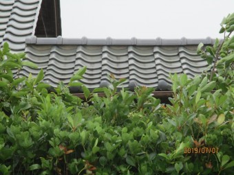 雨漏り工事