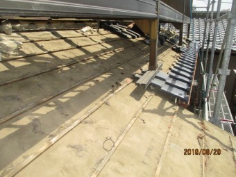 IMG_3422-1-columns2