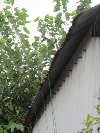 トタン屋根補修