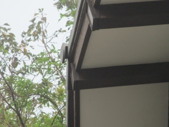 屋根瓦被害
