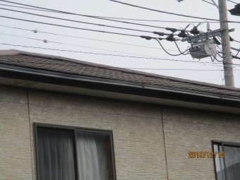 台風被害