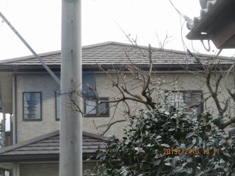 台風被害