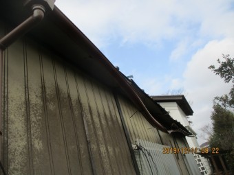 台風被害