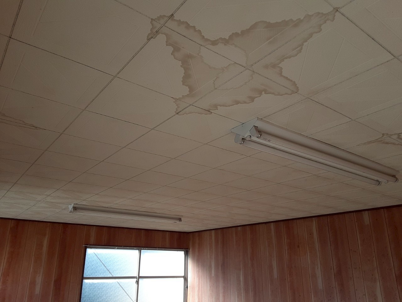 室内天井に広がる雨染み