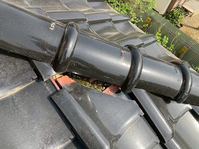 ズレた瓦と露出した土台の確認
