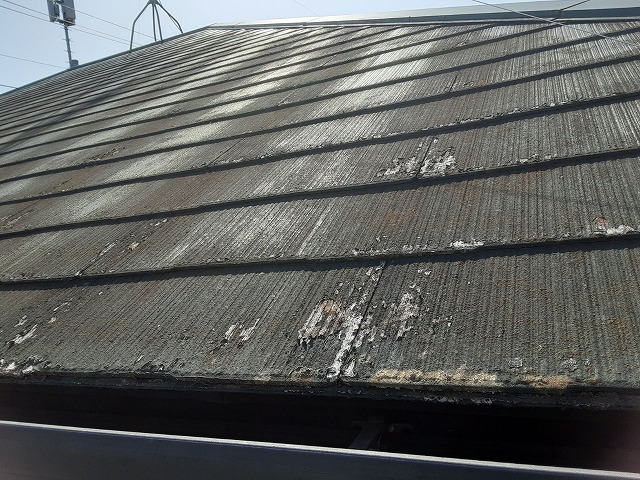屋根材の黒ずみ