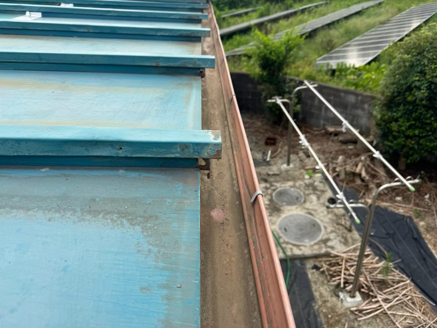 小美玉市　雨樋の掃除前の屋根の軒先の様子