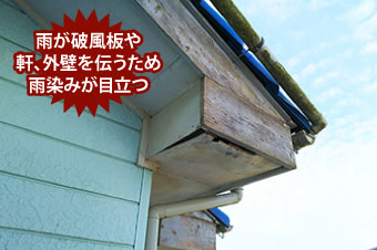 雨樋不具合での二次被害