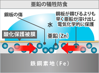 鋼板が錆びるよりも早く亜鉛が溶け出し、電気化学的に保護